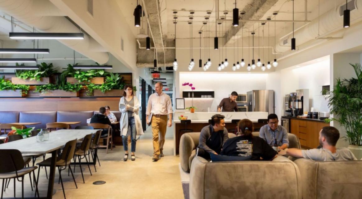 Professionelle Unterstützung bei Budget-Techniken